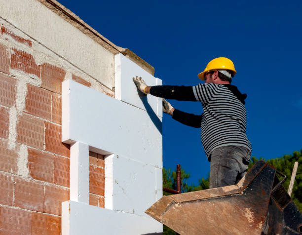 Best Cellulose Insulation  in Merriam Woods, MO