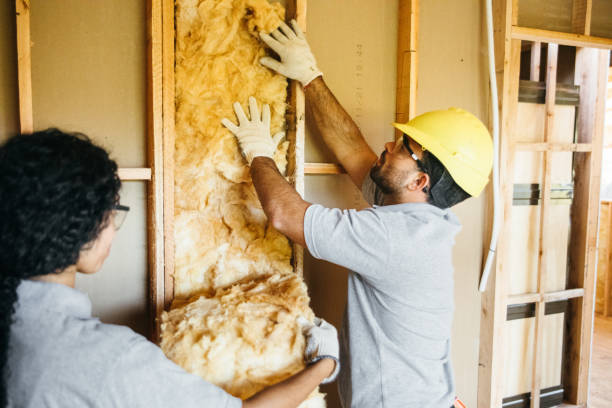 Best Attic Insulation Installation  in Merriam Woods, MO