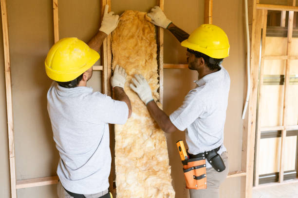 Best Insulation Inspection Services  in Merriam Woods, MO