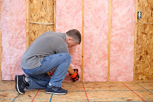 Best Local Insulation Services  in Merriam Woods, MO