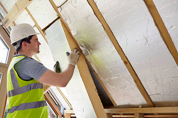 Best Home Insulation Services  in Merriam Woods, MO